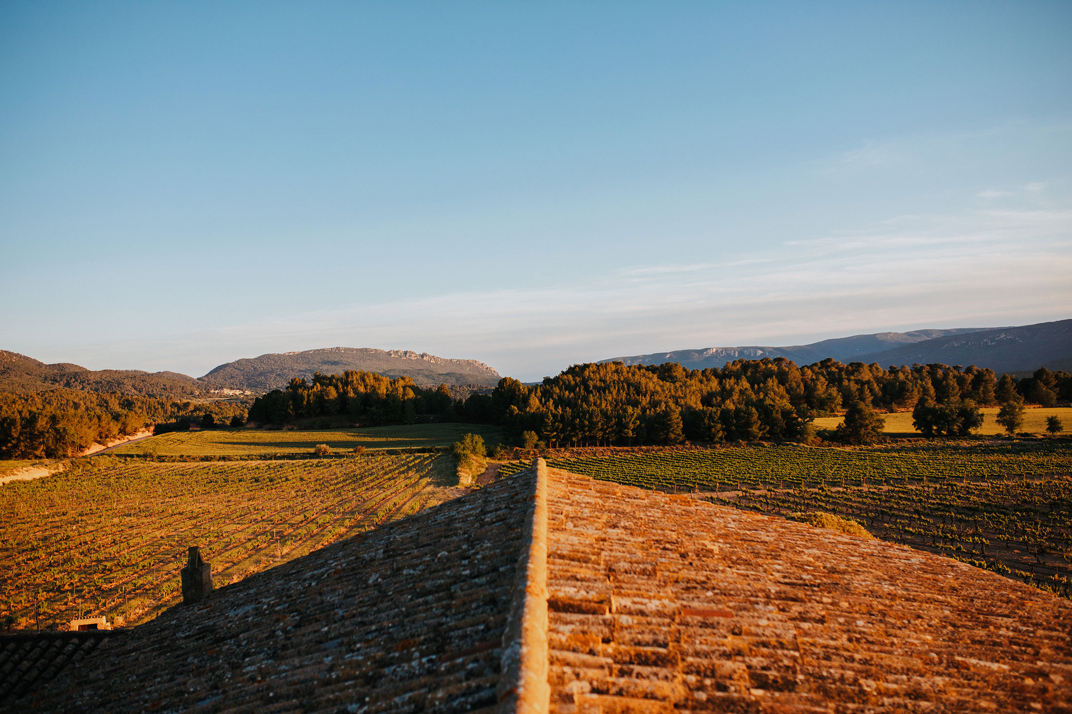 mas-de-la-sabatera-vistes