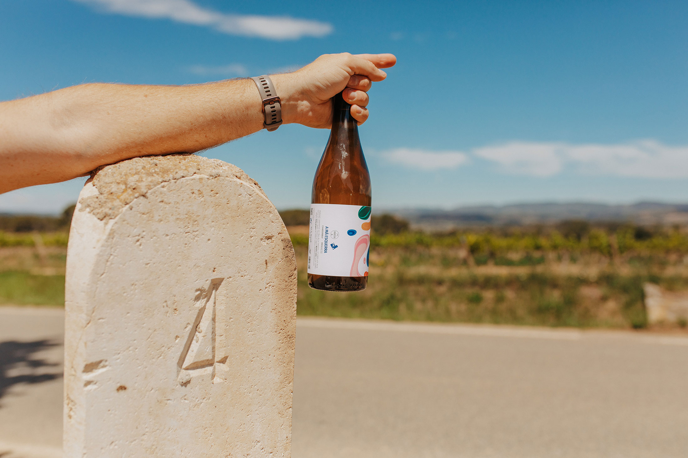 vins-a-ma-esquerra-02