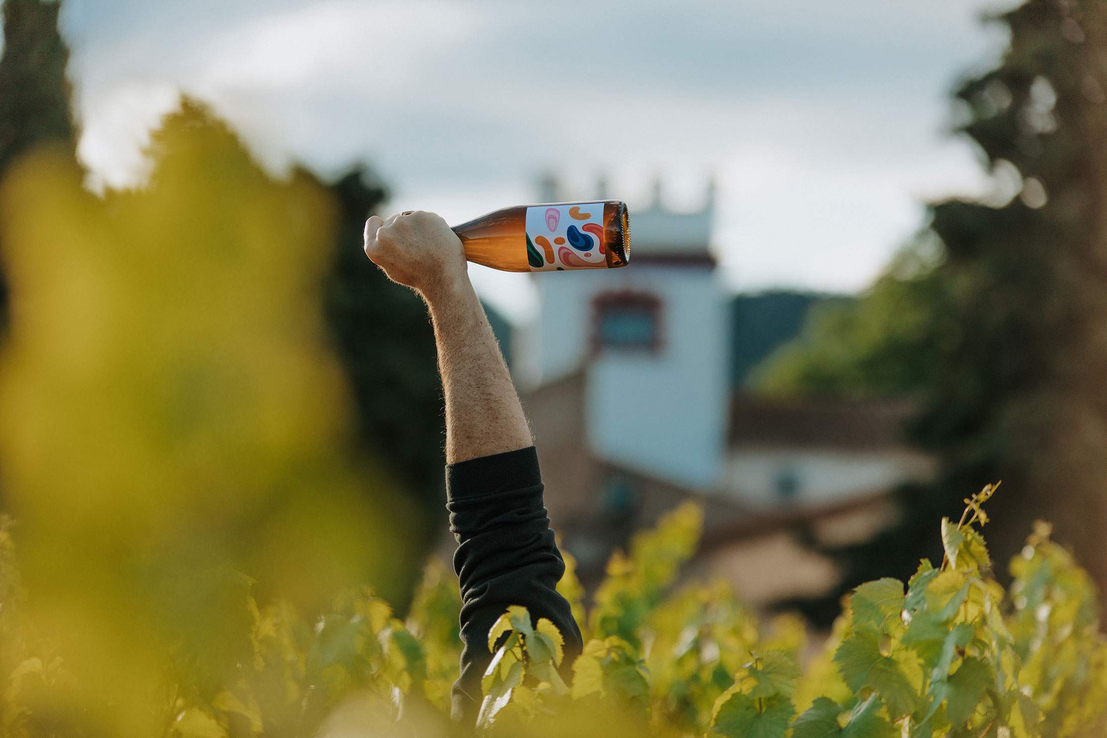 vins-a-ma-esquerra-03