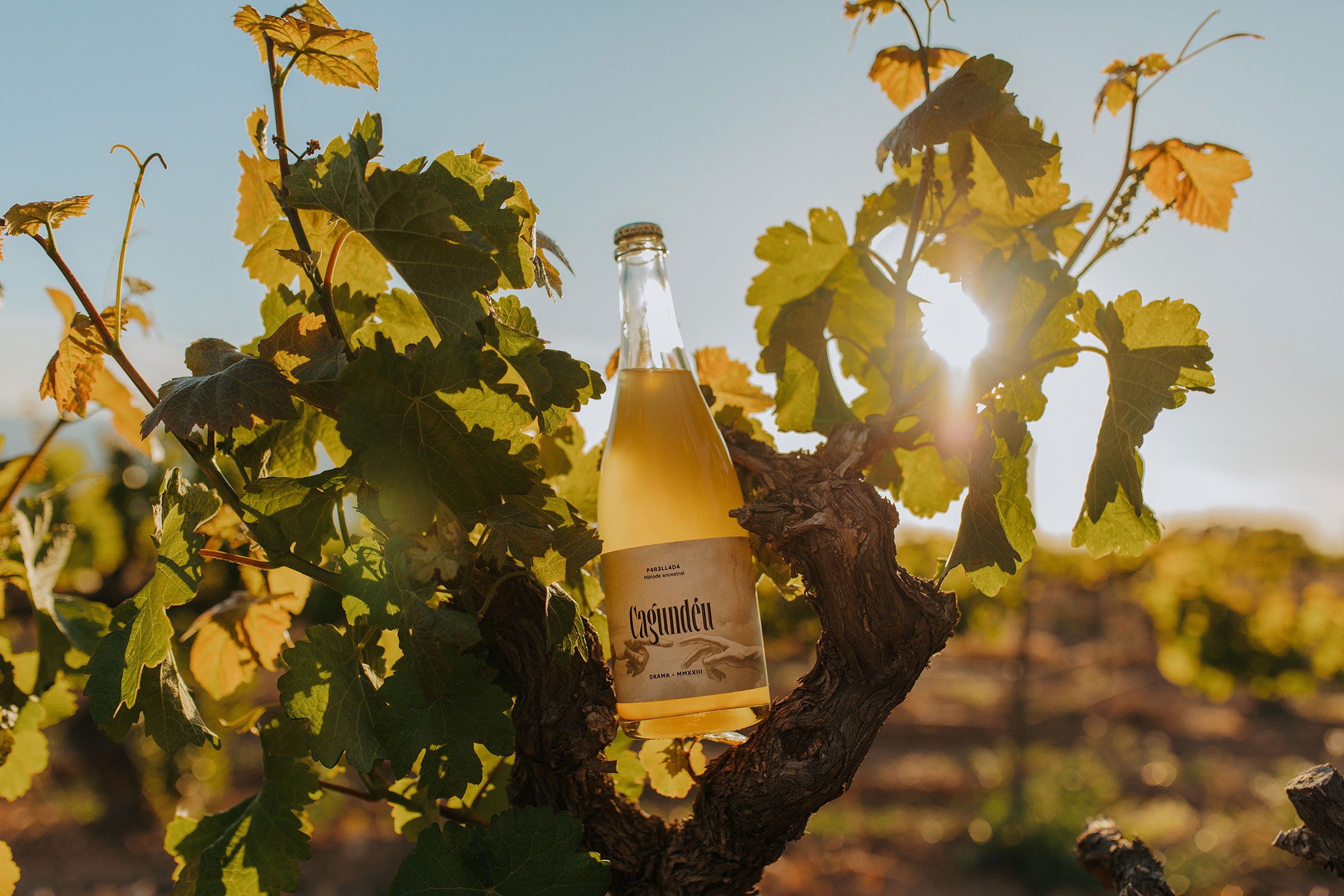 vins-cagundeu-01
