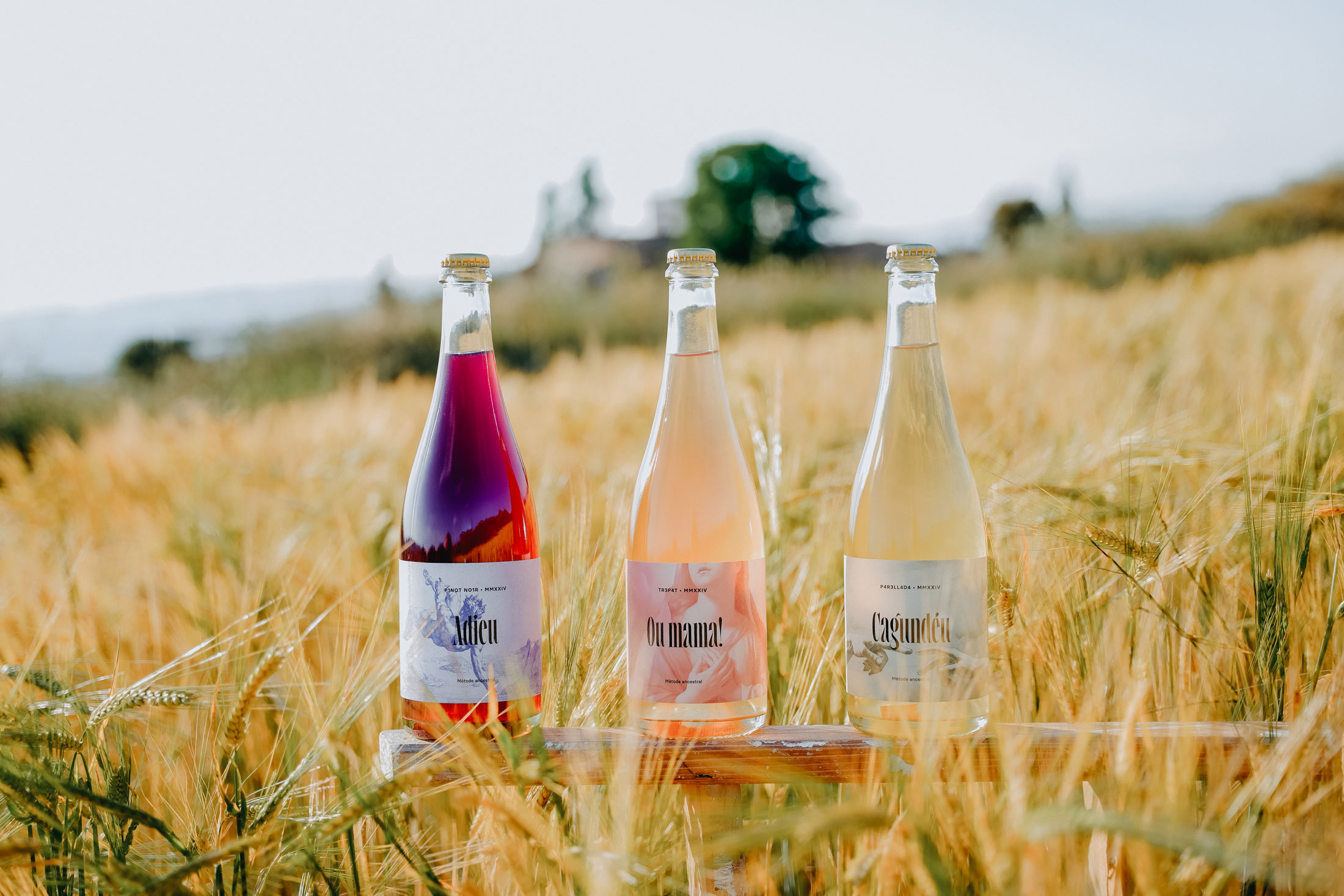 wine-drama-mas-de-la-sabatera