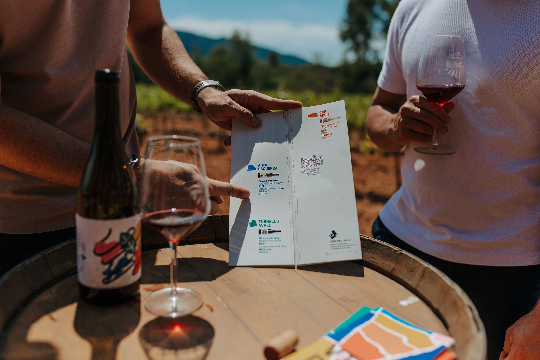 visites-vinyes-mas-sabatera-02