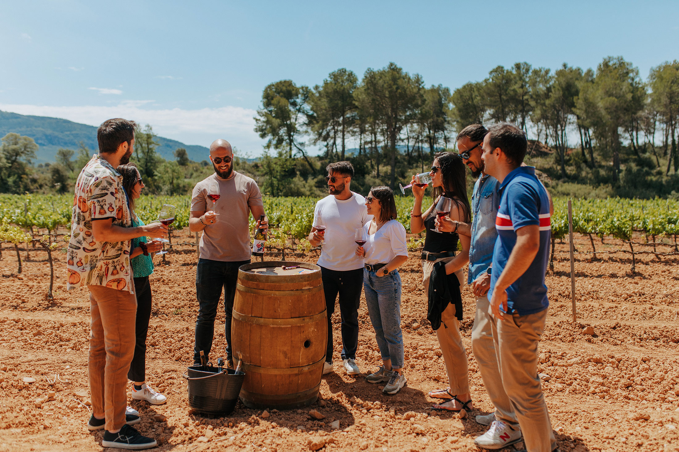 visites-vinyes-mas-sabatera-03