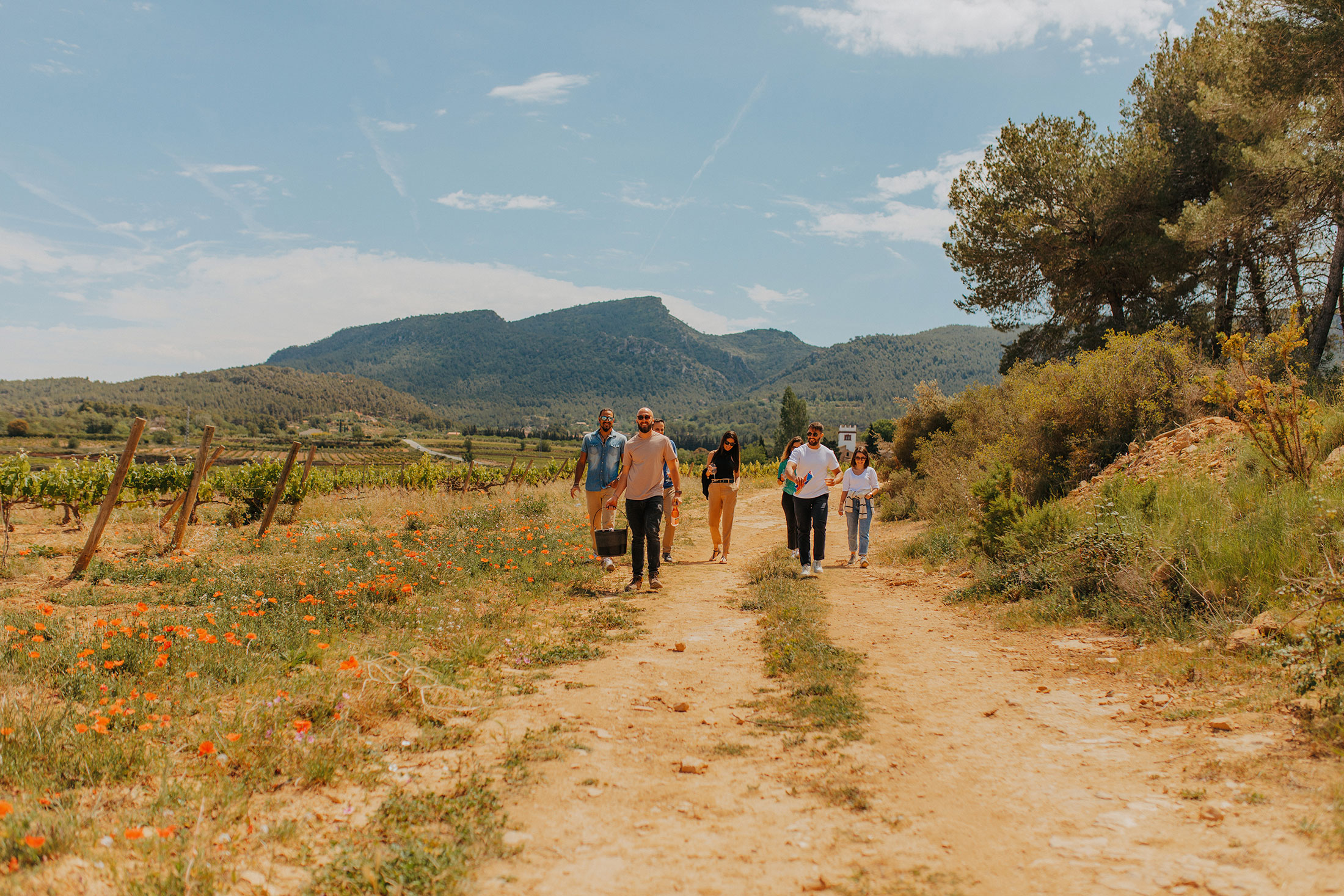 visites-vinyes-mas-sabatera-05