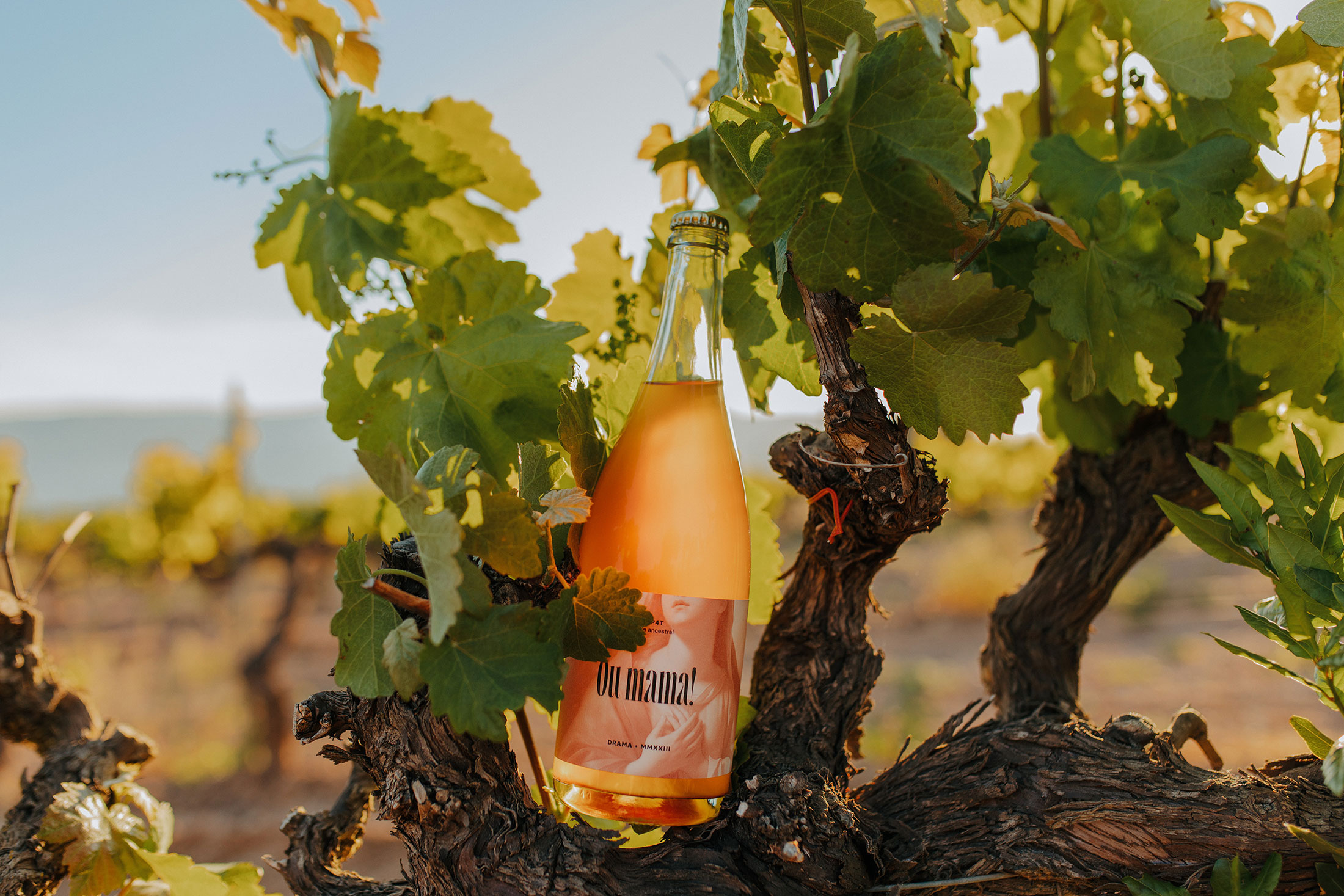 vins-ou-mama-01
