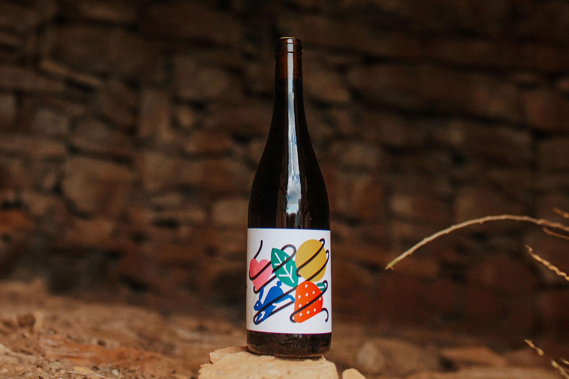 vins-turnalls-avall-02b