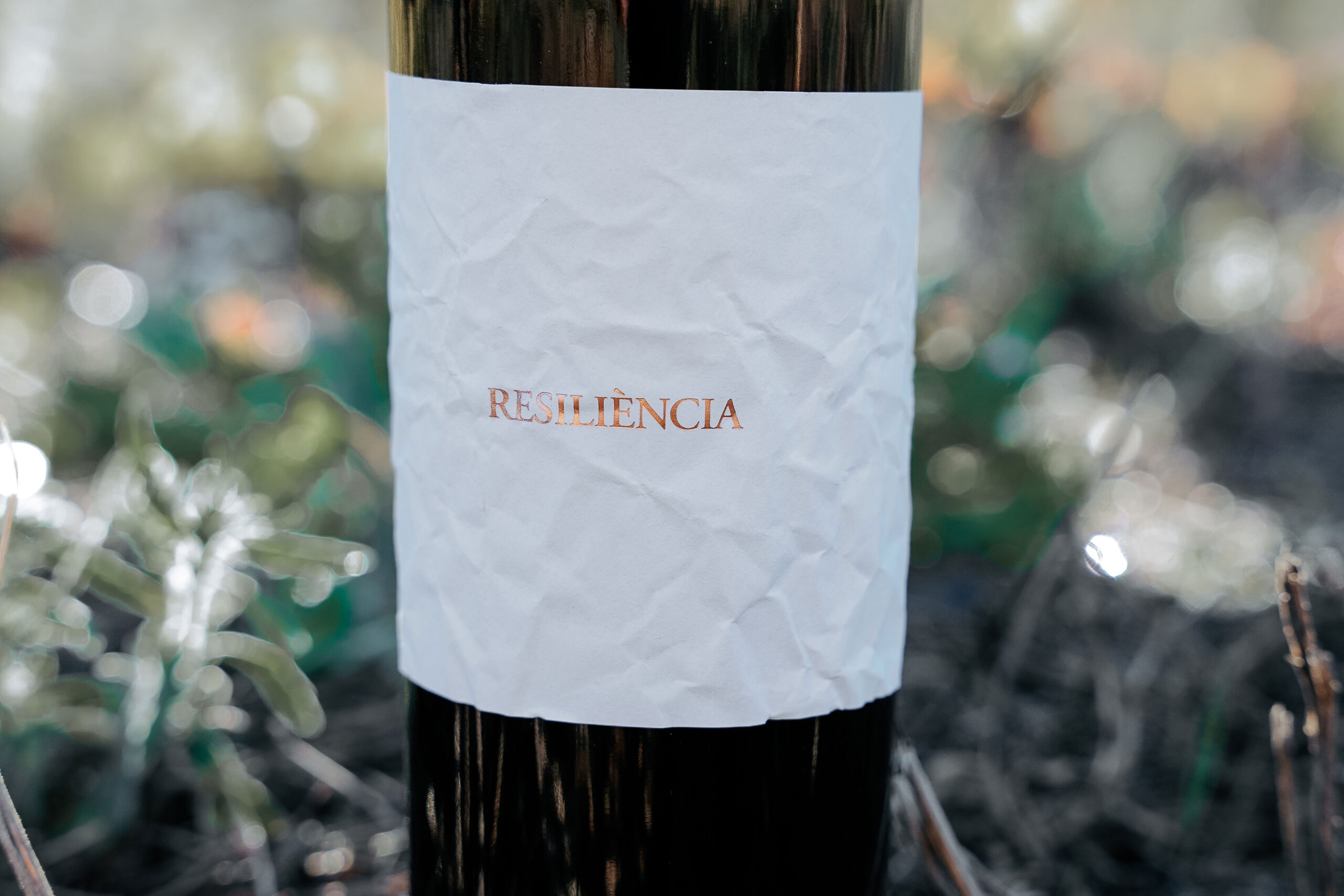 vins-resiliencia-02